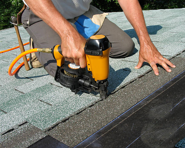 Roof Gutter Cleaning in Fairmont City, IL