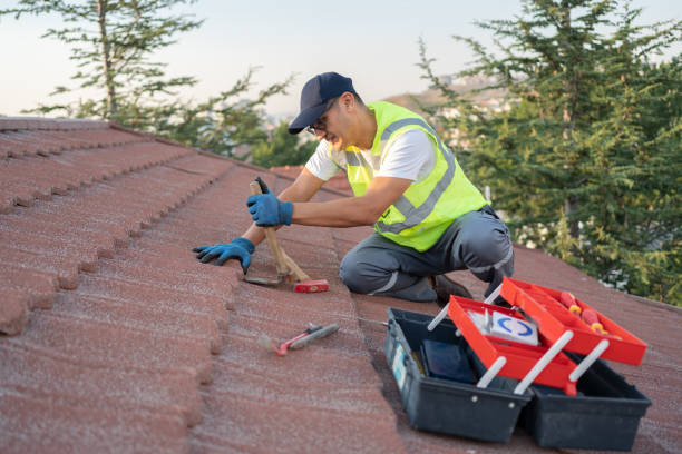 Best Storm Damage Roof Repair  in Fairmont City, IL